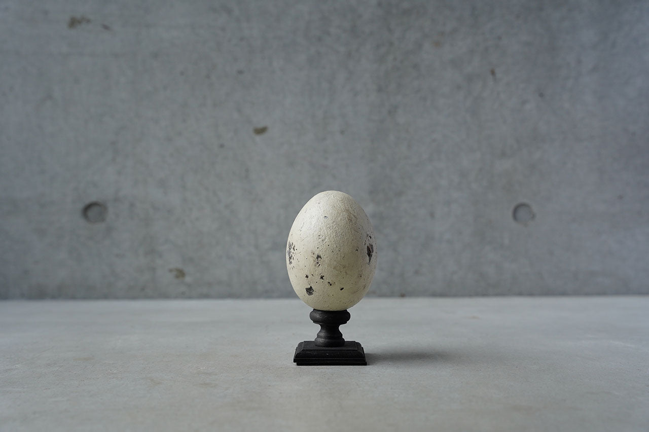 ●24-NM 29水田典寿 egg object