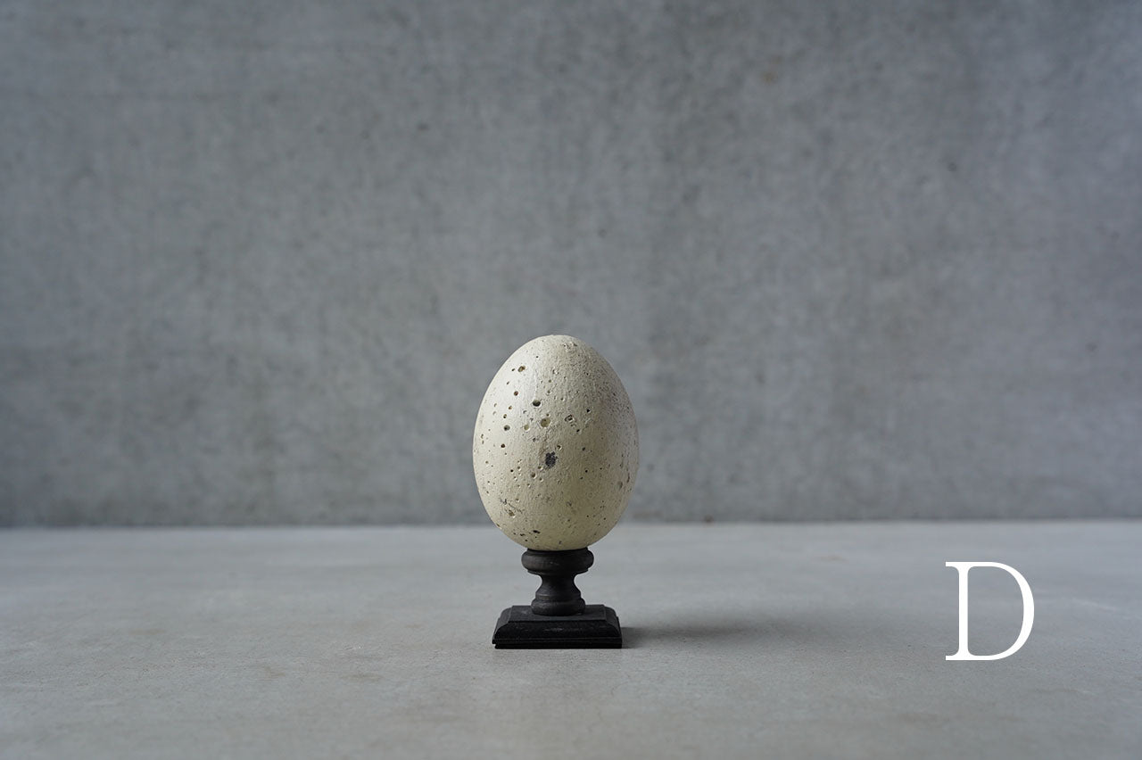 ●24-NM 29水田典寿 egg object