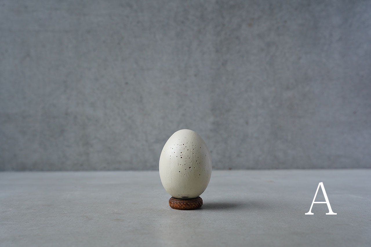 ●24-NM 30水田典寿 egg object (Low pedestal)