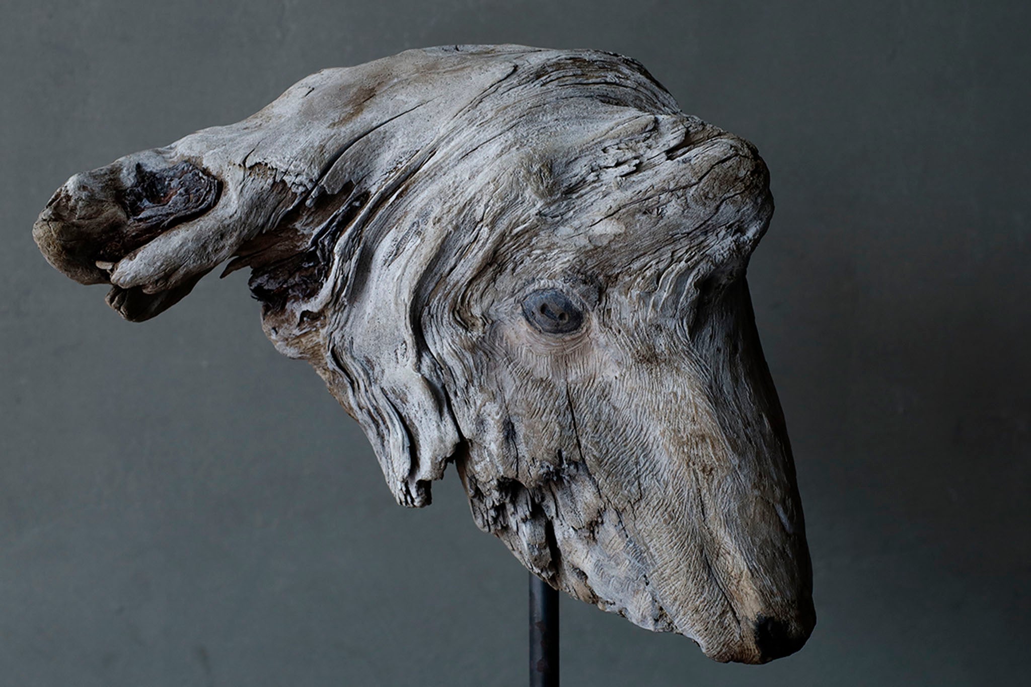水田典寿 流木の山羊