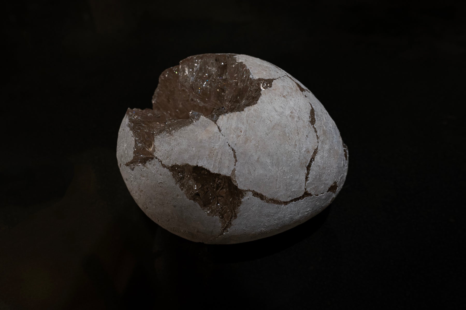 米津真理奈 卵