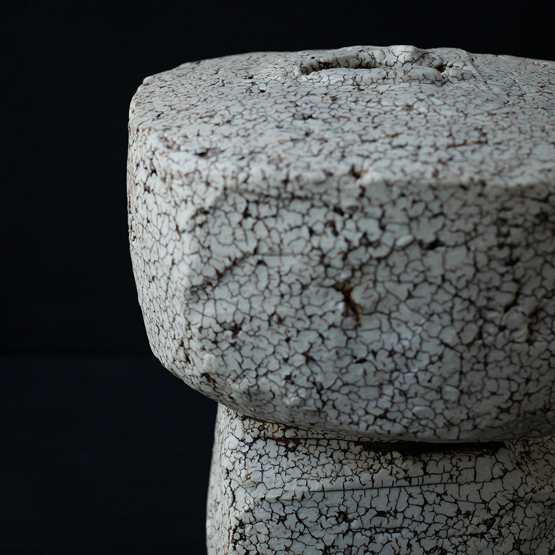 Gaku Nakane Cracked Vase 25-B