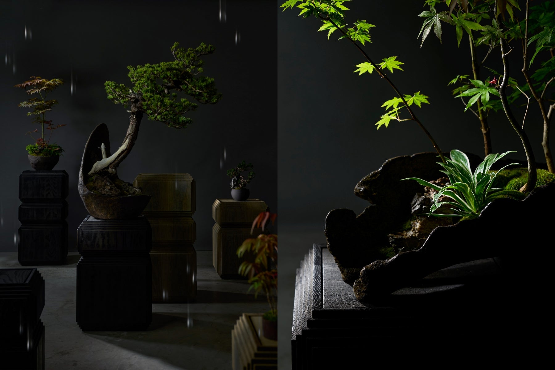 品品 × Shimoo Design× KYO AMAHARE 「青雨/Seiu」