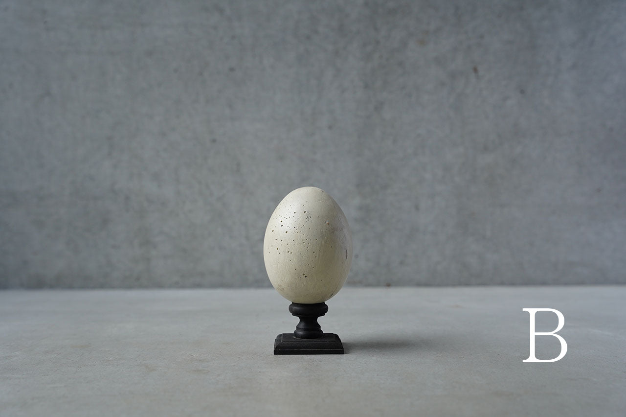 ●24-NM 29水田典寿  egg object