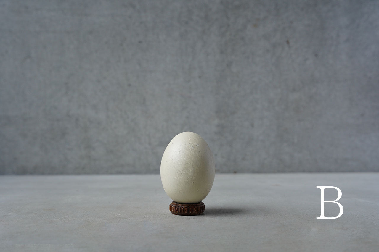 ●24-NM 30水田典寿  egg object (Low pedestal)