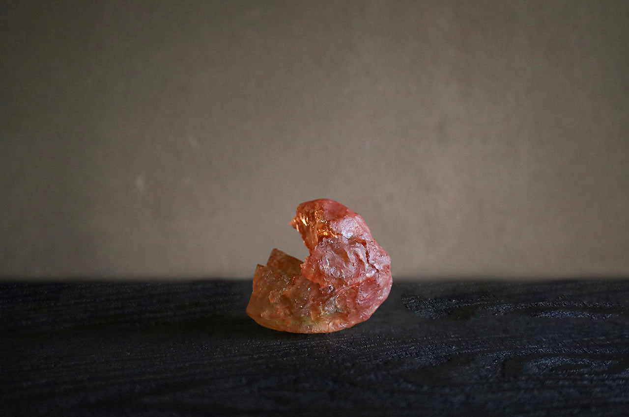 Marina Yonetsu Fruit  (Chinese Lantern Plant)