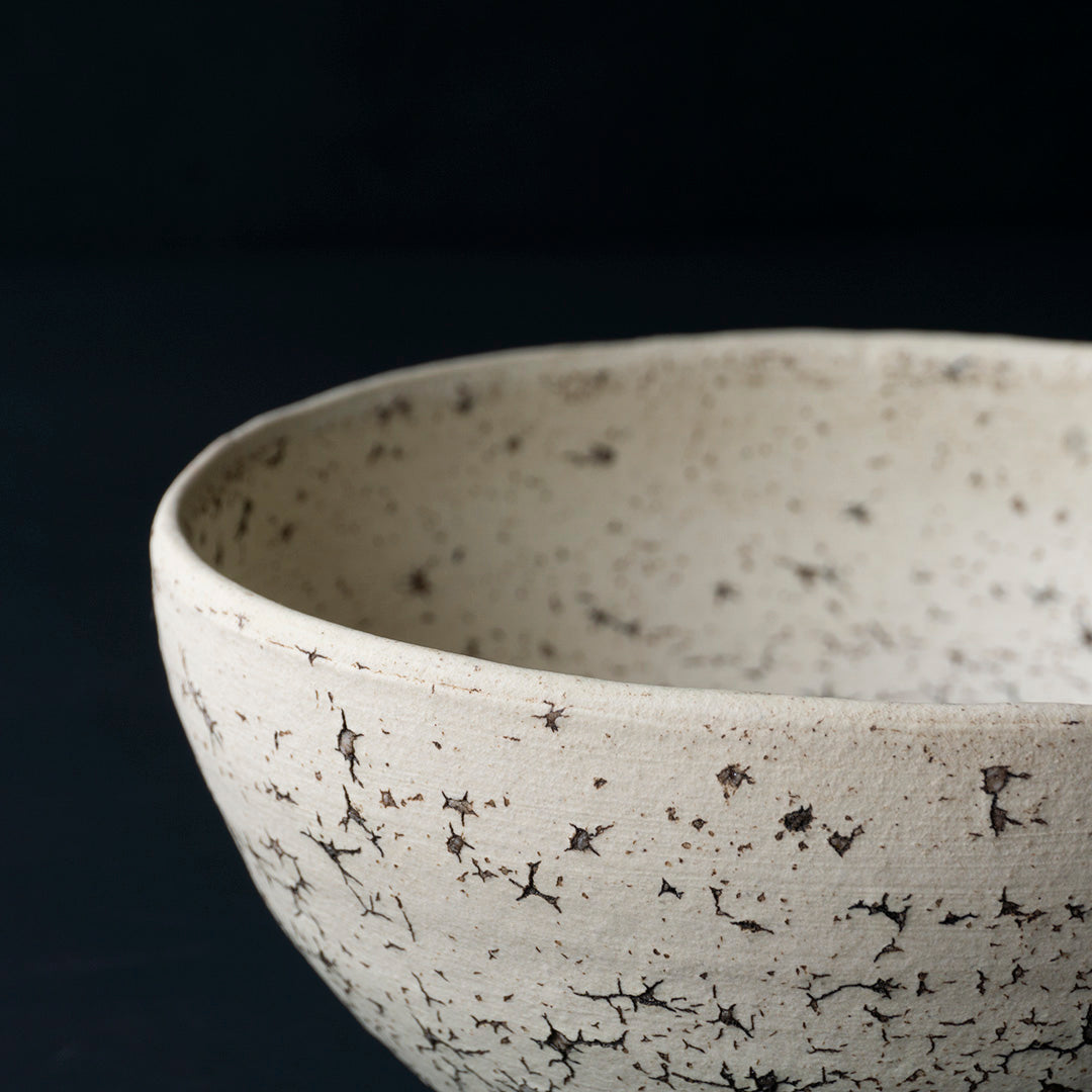 Gaku Nakane　Rice Bowl