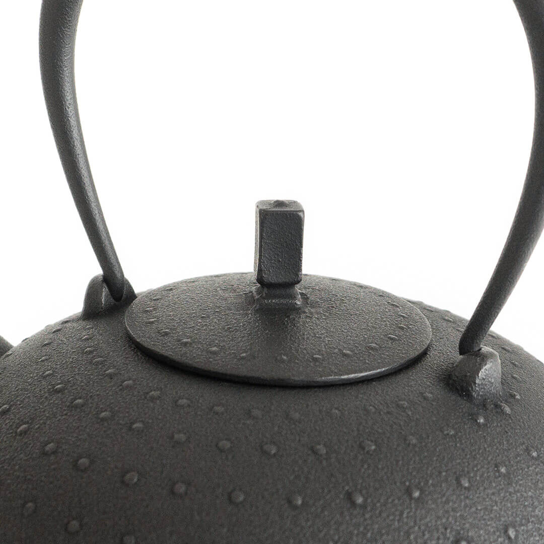 Kukan Chuzo /Sayu Cast Iron Kettle S